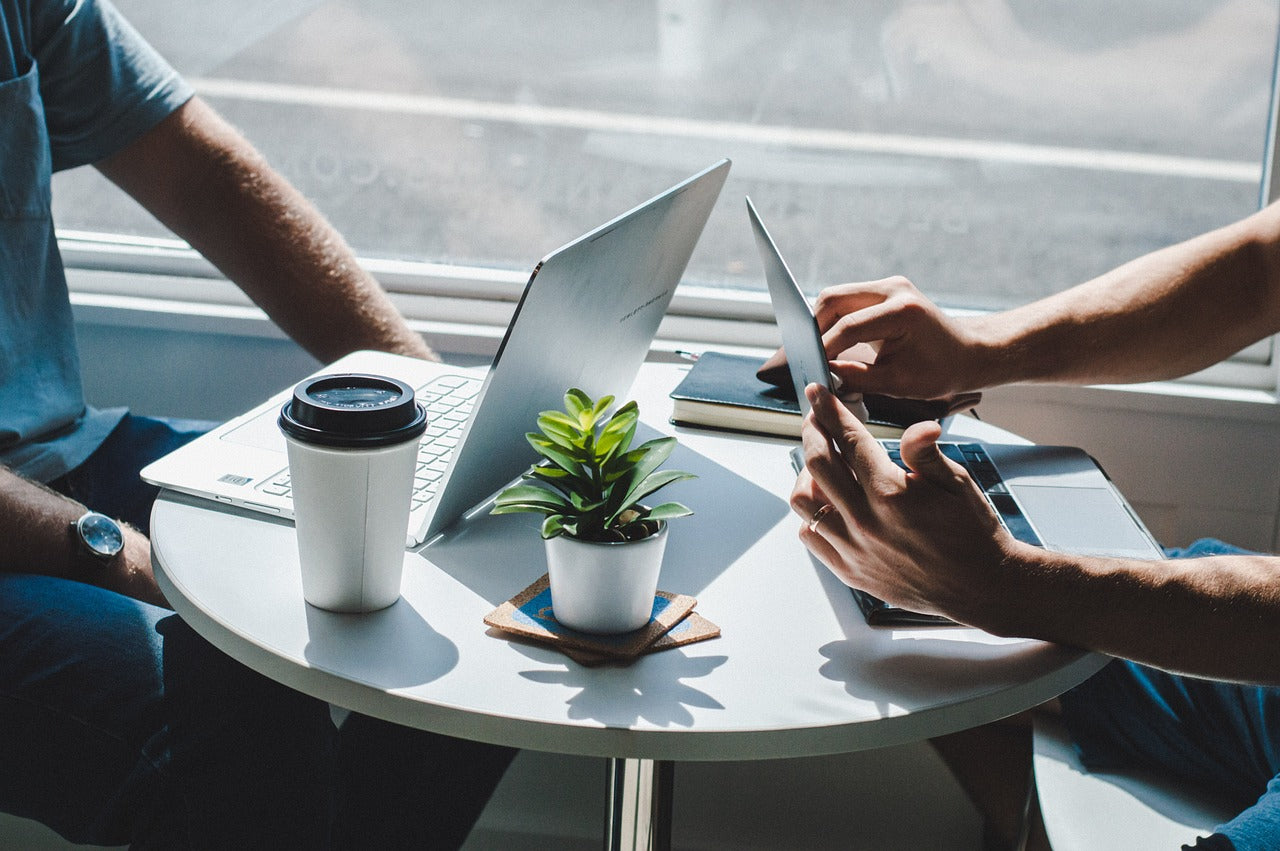 Two people working on laptops in a bright cafe setting, coffee cup and small plant on the table, showing teamwork and modern workspace vibes.
